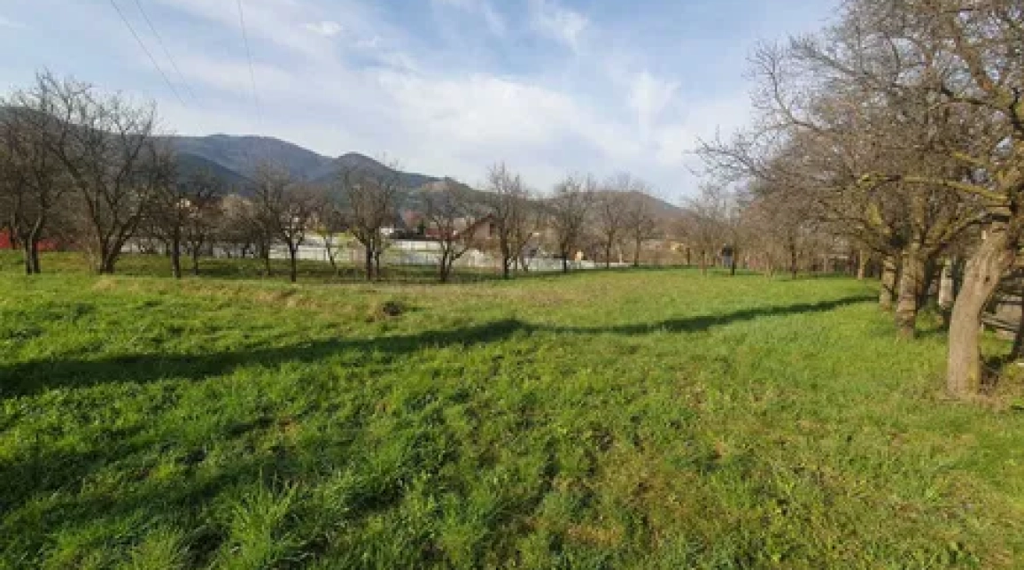 Oferta Teren de vanzare Alexandru cel bun (Jud. Neamt) Viisoara 1800 mp  imagine 1