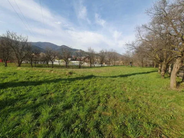 Teren  Alexandru cel bun (Jud. Neamt) Viisoara 1800mp  160305