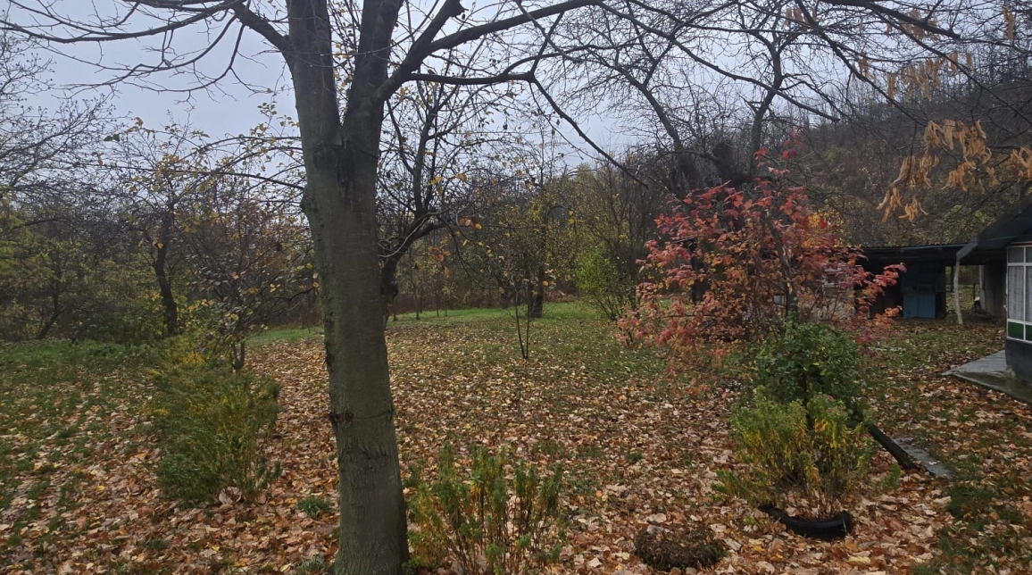 Oferta Teren de vanzare Tomesti Biserica 500 mp  imagine 2