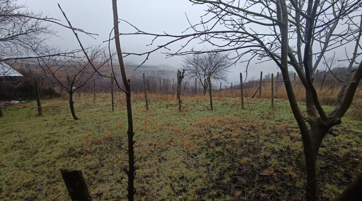 Oferta Teren de vanzare Vorovesti  2406 mp  imagine 5