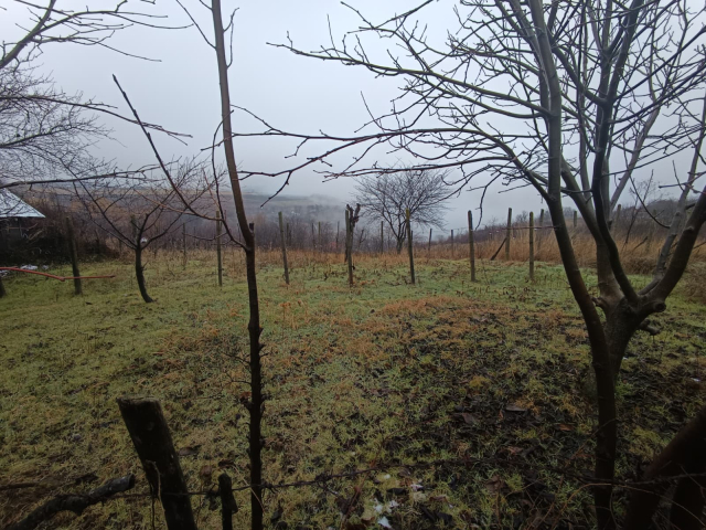 Teren  Vorovesti  2406mp  161129