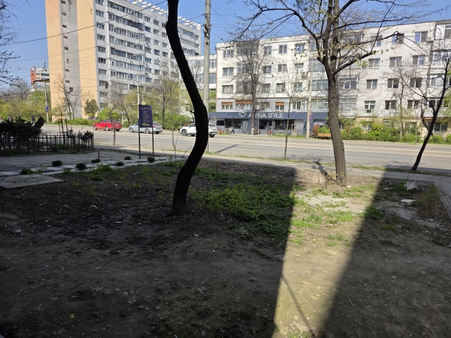 Apartament 4 camere - Nicolina