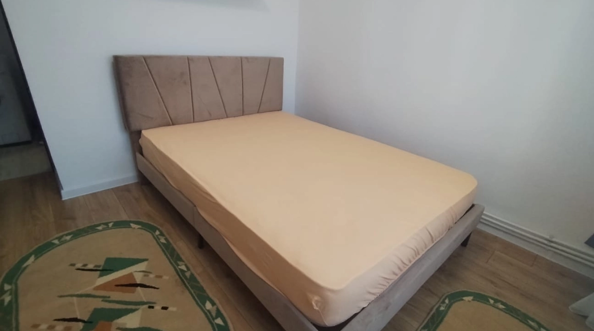 Oferta Apartament, 2 camere decomandat, 55 mp, Podul de Fier, de inchiriat,  Mega Image imagine 3