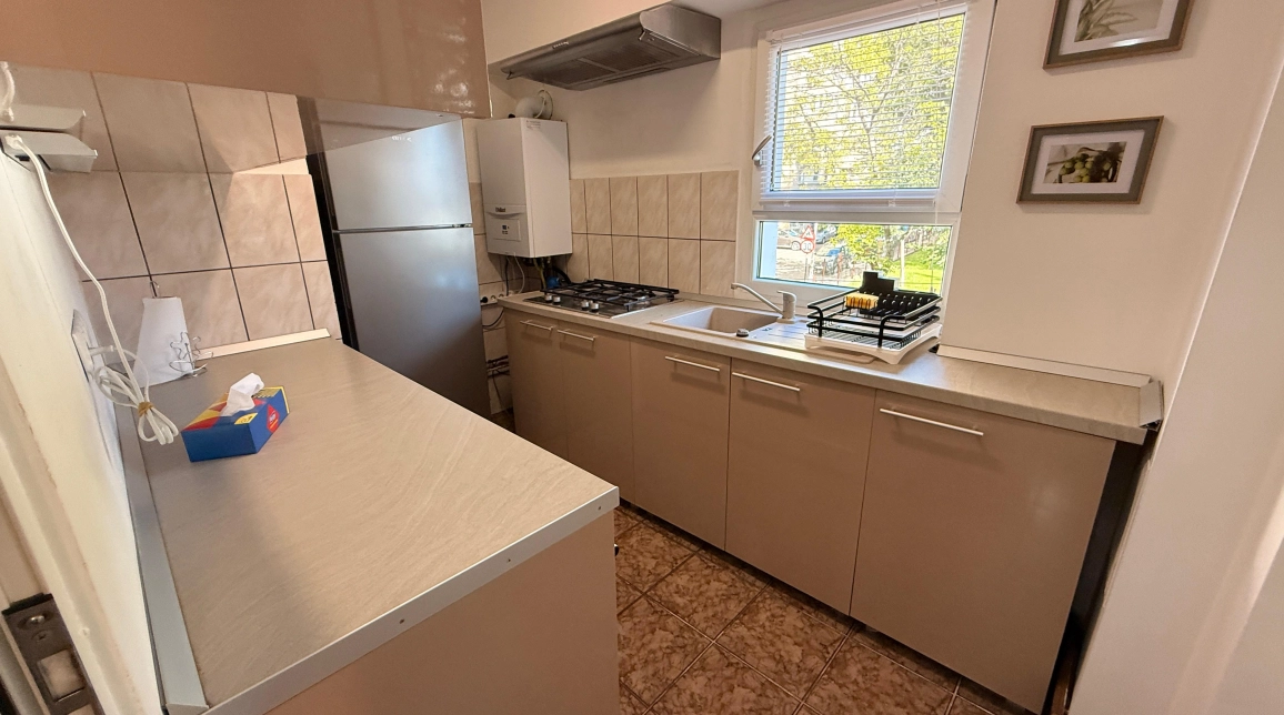 Oferta Apartament de inchiriat, 4 camere, decomandat, 100 mp, Pacurari,  Moara de Foc imagine 4