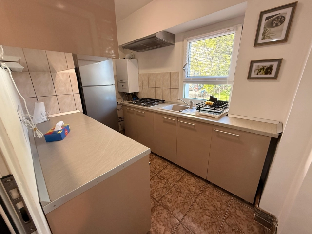 Apartament 4 camere - Pacurari