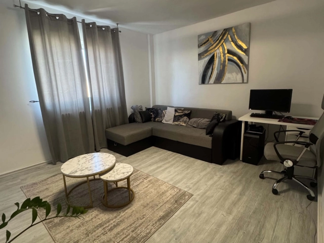Apartament 2 camere - Alexandru cel Bun