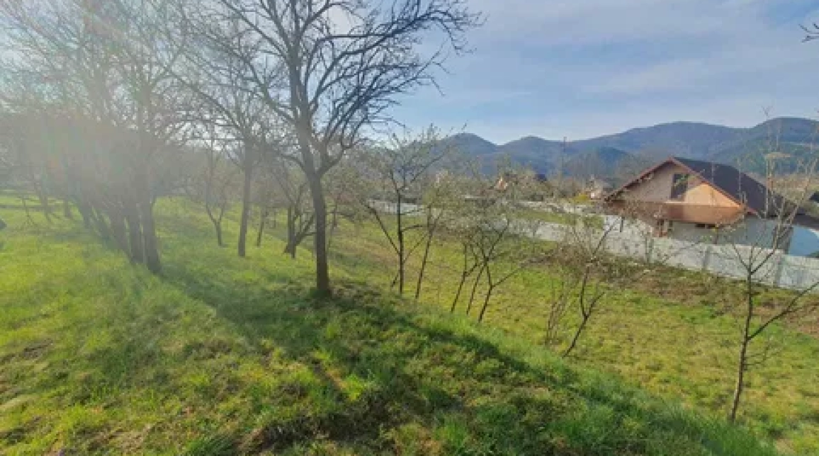 Oferta Teren de vanzare Alexandru cel bun (Jud. Neamt) Viisoara 1800 mp  imagine 2