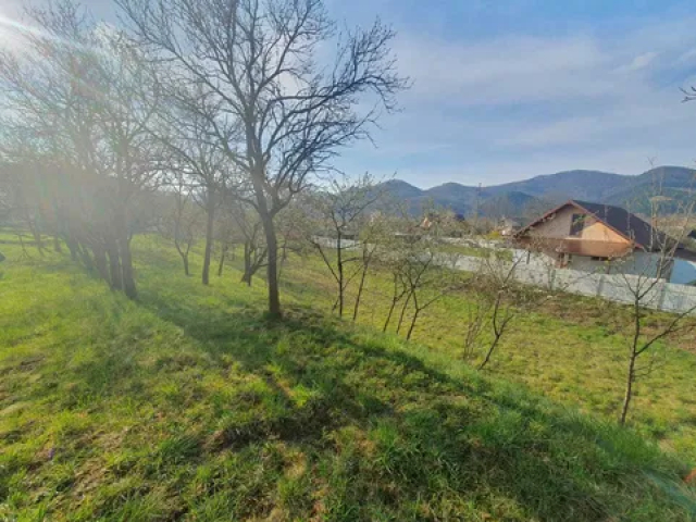 Teren  Alexandru cel bun (Jud. Neamt) Viisoara 1800mp  160305