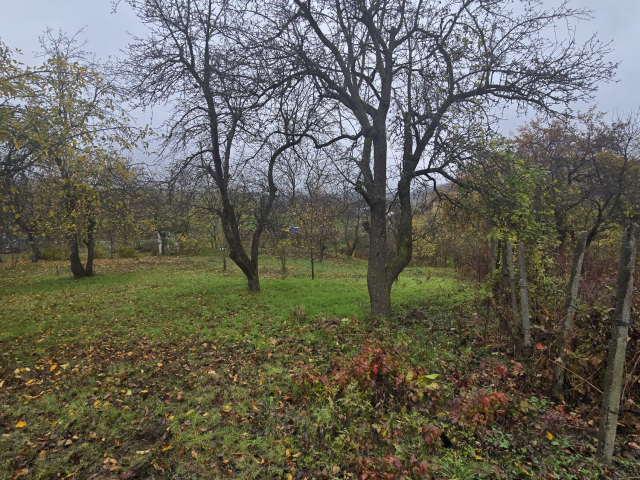 Teren  Tomesti Biserica 500mp  160514