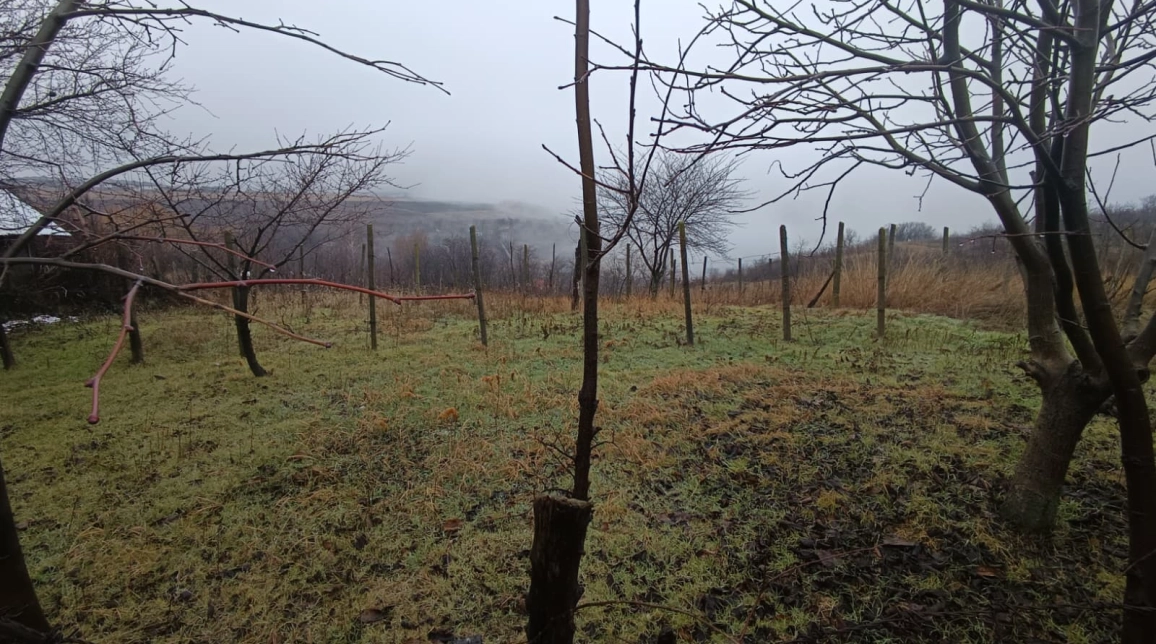 Oferta Teren de vanzare Vorovesti  2406 mp  imagine 6