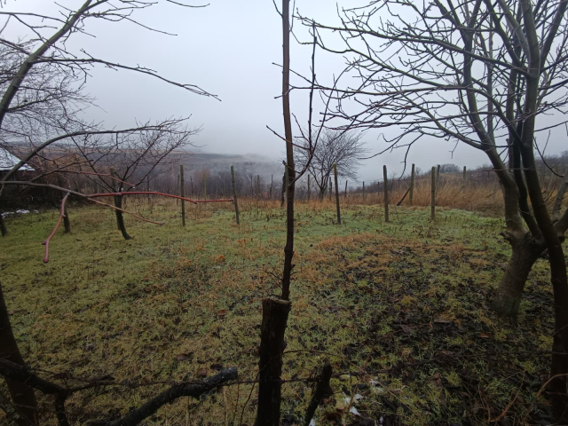 Teren  Vorovesti  2406mp  161129