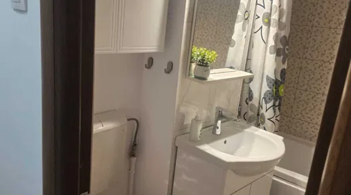 Oferta De inchiriat apartament, 1 camera, decomandat, 40 mp, Podu Ros,  Banca Transilvania imagine 3