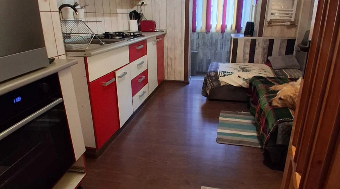 Oferta Apartament de vanzare, 3 camere, decomandat, 74 mp, Nicolina,  Biserica Catolica imagine 3