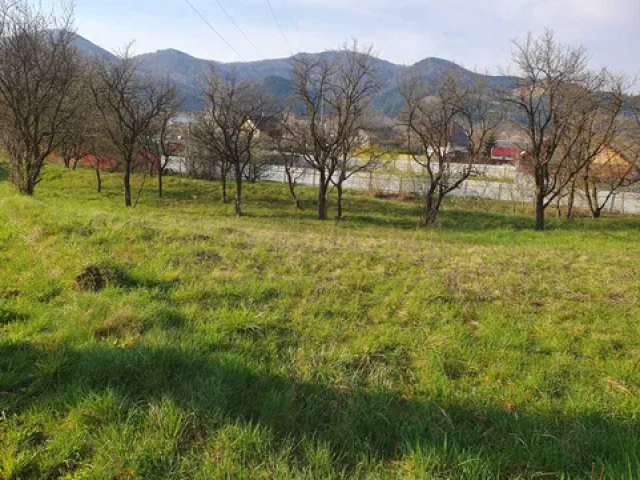 Teren  Alexandru cel bun (Jud. Neamt) Viisoara 1800mp  160305