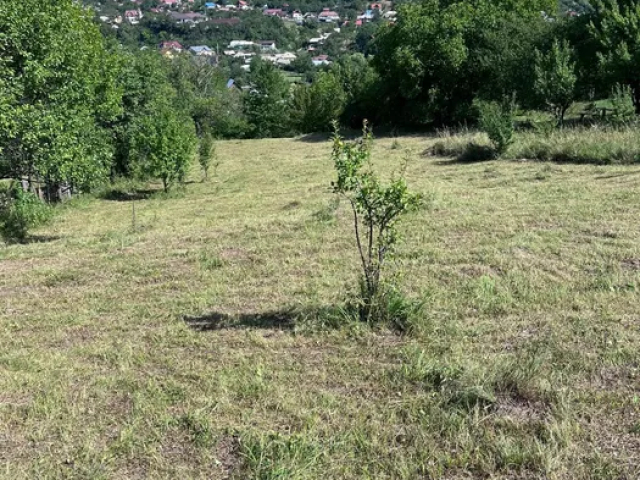Teren  Garcina  3026mp  162327