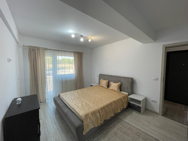 Apartament, 2 camere  decomandat,  60 mp, Podul de Fier, de inchiriat,  (Little Texas) 161506