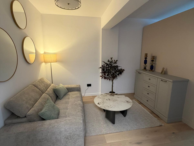 Apartament nou, 1 camera  decomandat,  40 mp, Centru, de inchiriat,  (Mitropolie) 162031