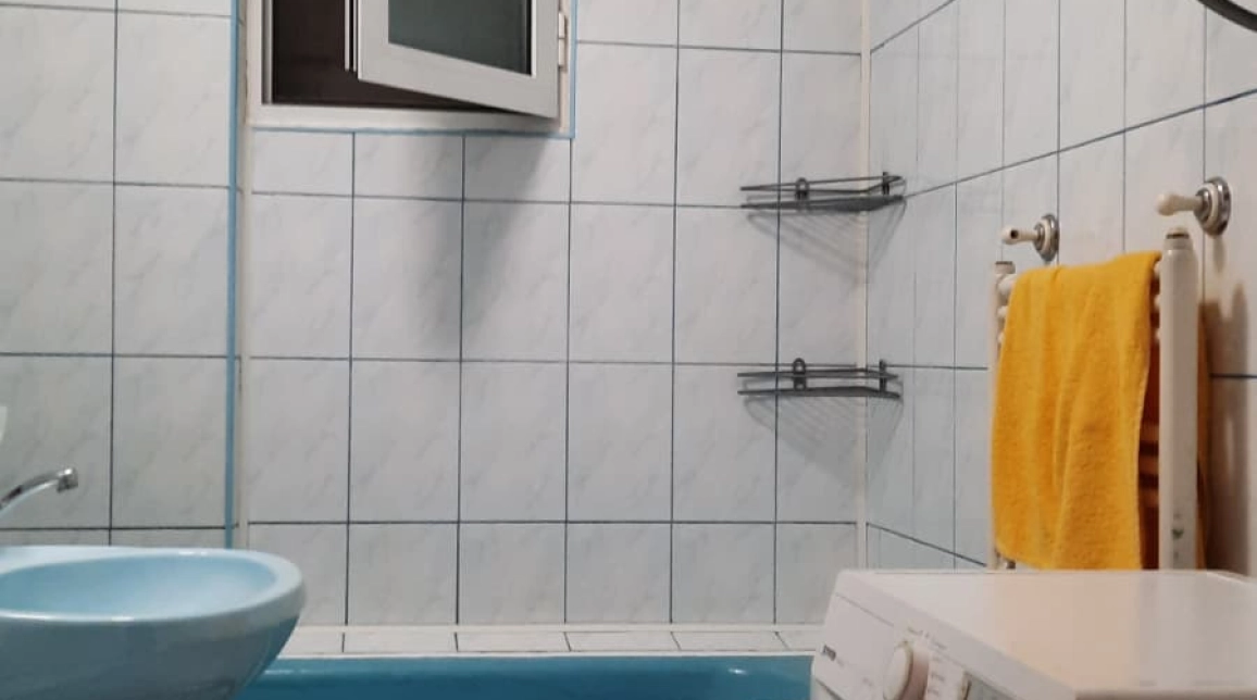 Oferta Apartament de inchiriat, 2 camere, decomandat, 60 mp, Gara,  Carrefour Market imagine 9