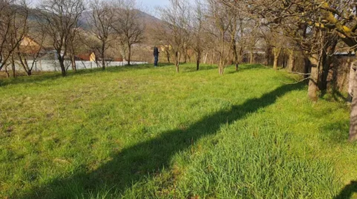 Oferta Teren de vanzare Alexandru cel bun (Jud. Neamt) Viisoara 1800 mp  imagine 4