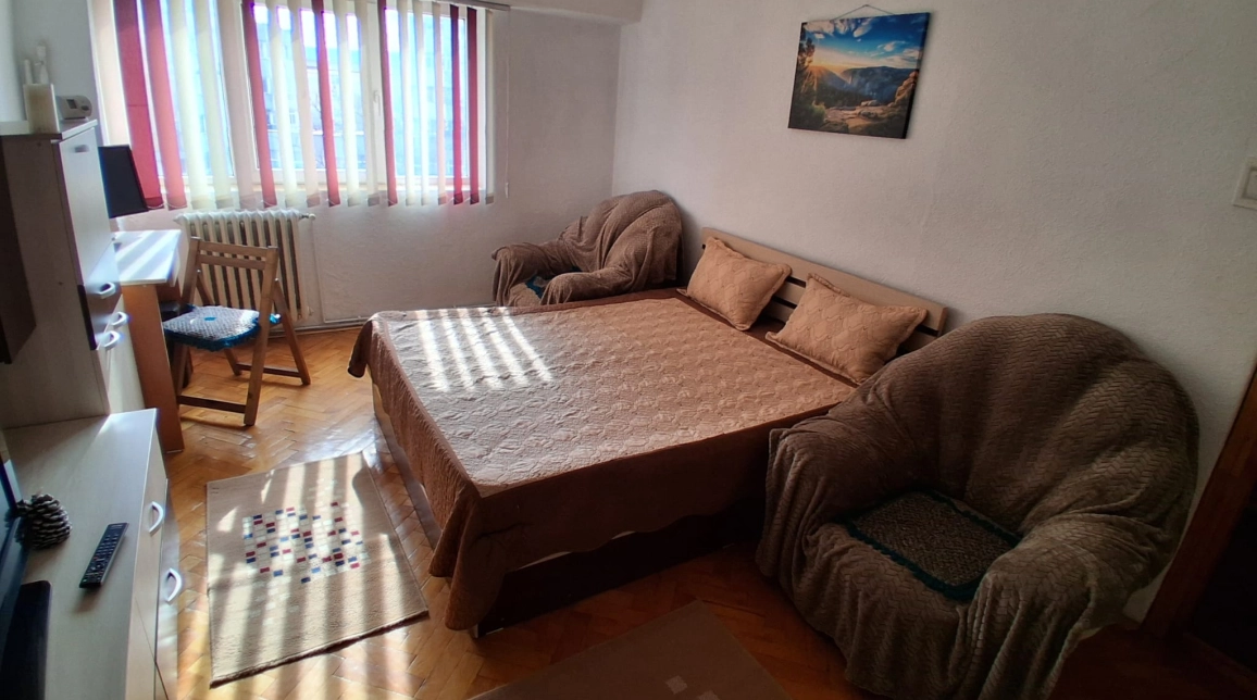 Oferta Apartament de inchiriat, 2 camere, decomandat, 56 mp, Pacurari,  Mega Image imagine 3