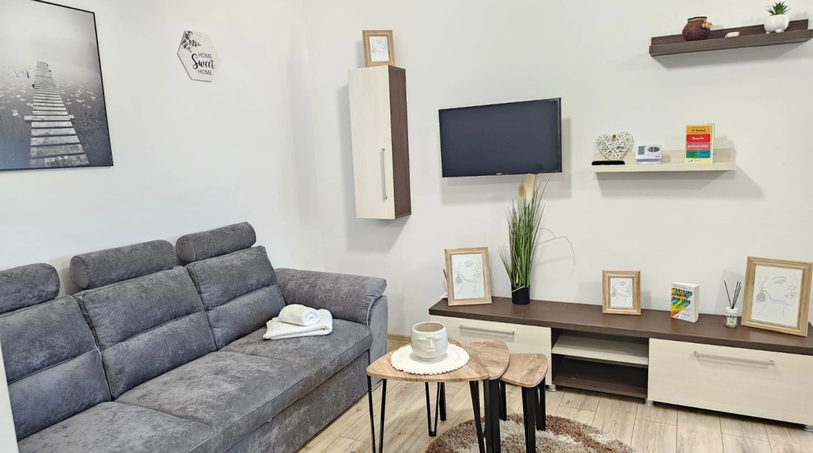 Oferta Pacurari apartament 50 mp, 2 camere, open-space, de inchiriat,  Petru Poni imagine 1
