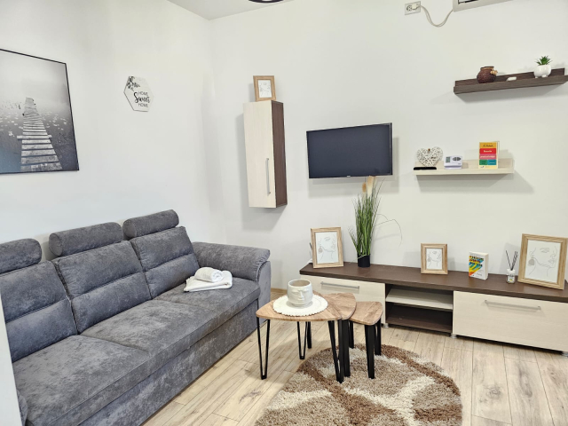 Pacurari apartament  50 mp, 2 camere,  open-space, de inchiriat,  (Petru Poni) 162524