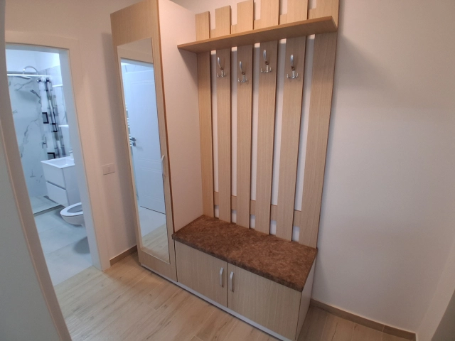 Apartament 1 camere - Pacurari