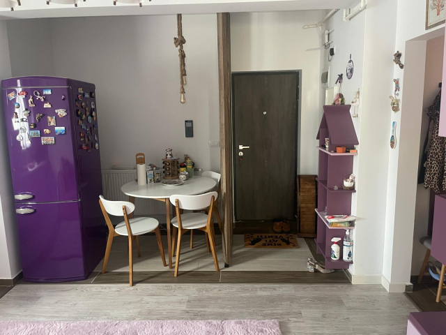 Bucium apartament nou  46 mp, 2 camere,  open-space, de vanzare,  (Plopii Fara Sot) 162474