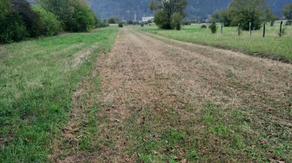 Oferta Teren de vanzare Pangarati Stejaru 2235 mp  imagine 1