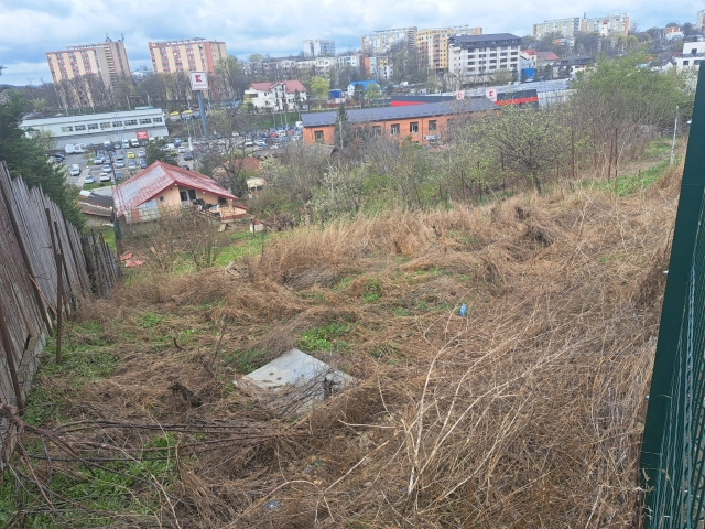 Apartament 0 camere - Tatarasi