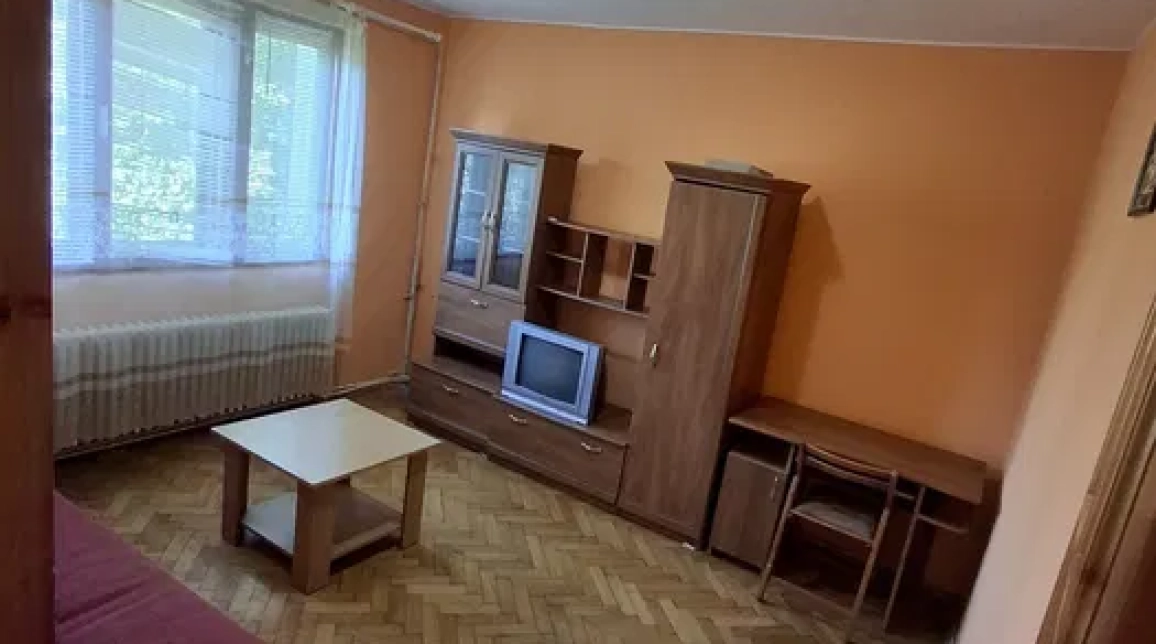 Oferta Tudor Vladimirescu apartament 50 mp, 2 camere, decomandat, de inchiriat,  Intersectia Bucsinescu imagine 6