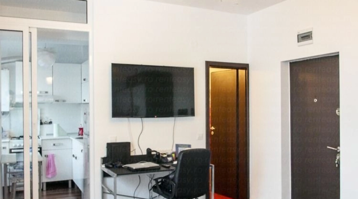 Oferta Apartament, 1 camera semidecomandat, 28 mp, Centru, de vanzare,  Palas imagine 3