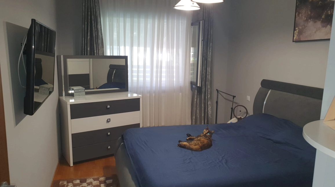 Oferta Miroslava casa 100 mp, 3 camere, de vanzare,  Valea Ursului imagine 4