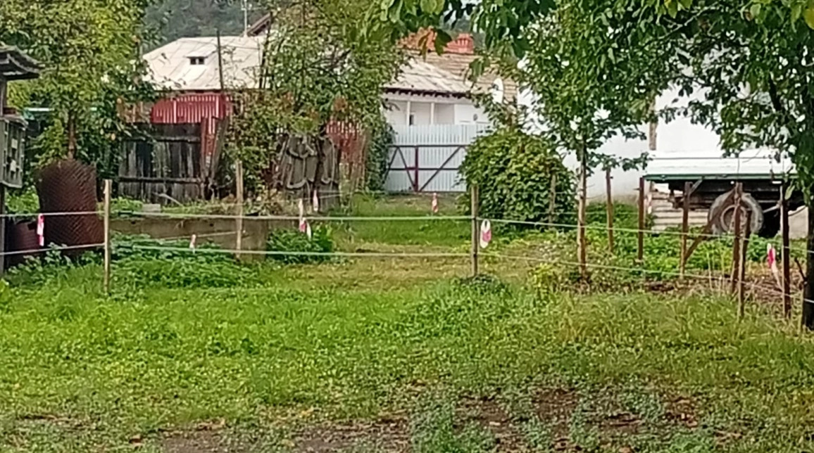 Oferta Teren de vanzare Alexandru cel bun (Jud. Neamt) Bistrita 1850 mp  imagine 4