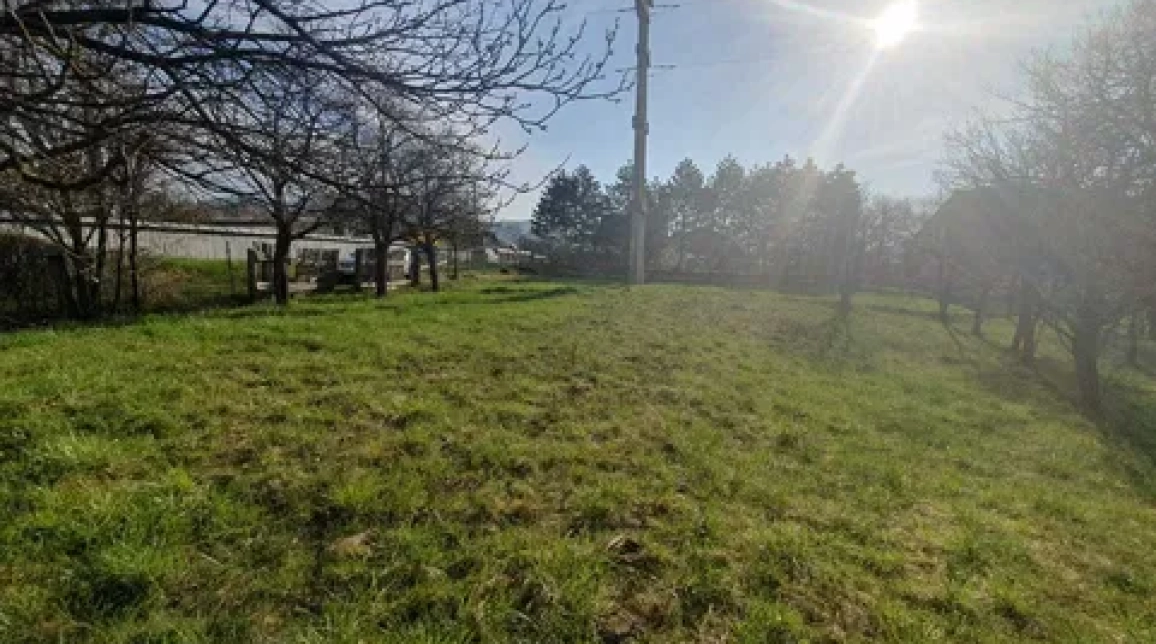 Oferta Teren de vanzare Alexandru cel bun (Jud. Neamt) Viisoara 1800 mp  imagine 5