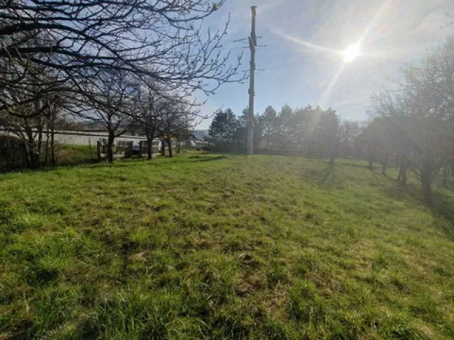 Teren  Alexandru cel bun (Jud. Neamt) Viisoara 1800mp  160305