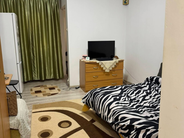 Tudor Vladimirescu apartament  25 mp, 1 camera,  garsoniera, de inchiriat,  (Camine Studentesti ) 163234