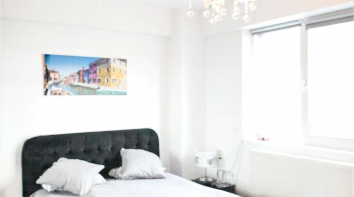 Oferta Apartament, 1 camera semidecomandat, 28 mp, Centru, de vanzare,  Palas imagine 4