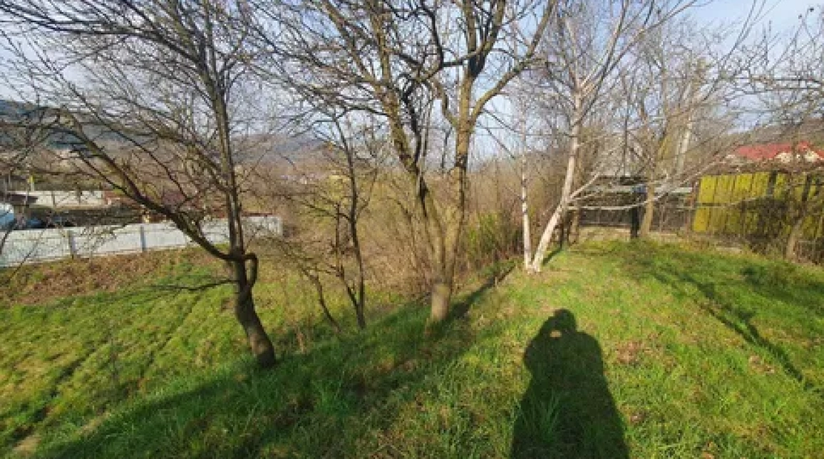 Oferta Teren de vanzare Alexandru cel bun (Jud. Neamt) Viisoara 1800 mp  imagine 6