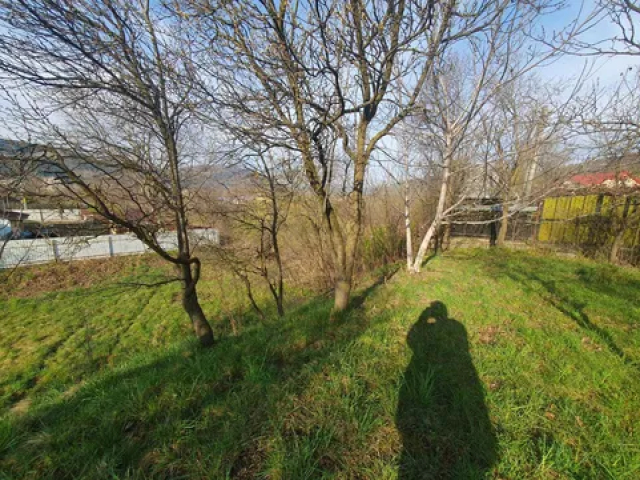 Teren  Alexandru cel bun (Jud. Neamt) Viisoara 1800mp  160305