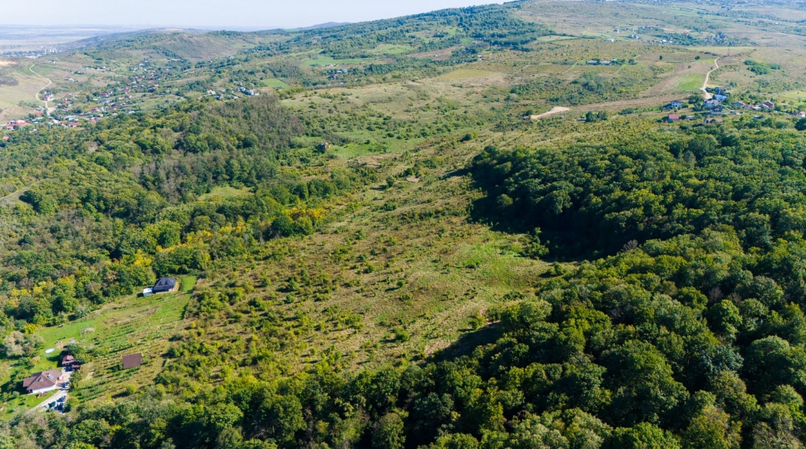 Oferta Teren de vanzare Bucium la 1.5 km in Soseaua Bucium - Plopii fara Sot 113783 mp  imagine 5