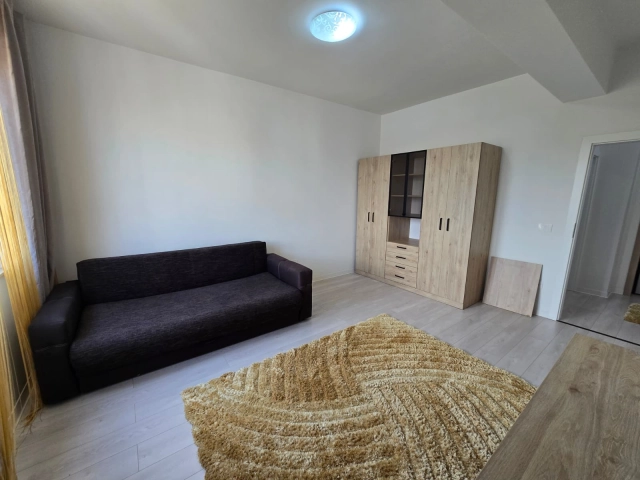 Apartament 1 camere - Bucium