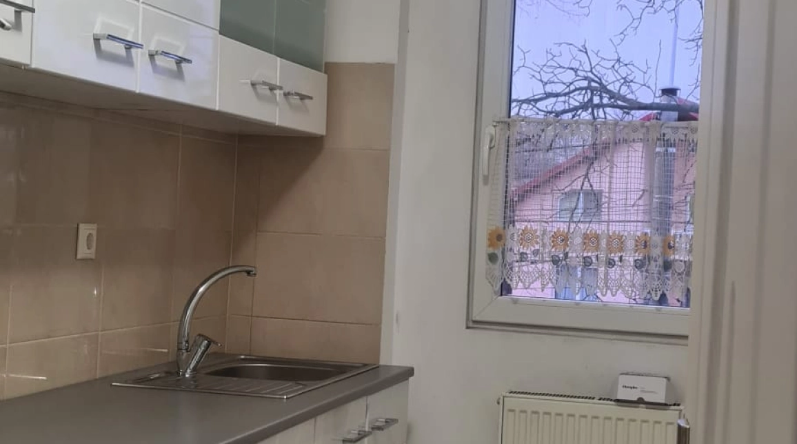 Oferta Apartament de inchiriat, 2 camere, decomandat, 60 mp, Tatarasi,  Piata 2 baieti imagine 7