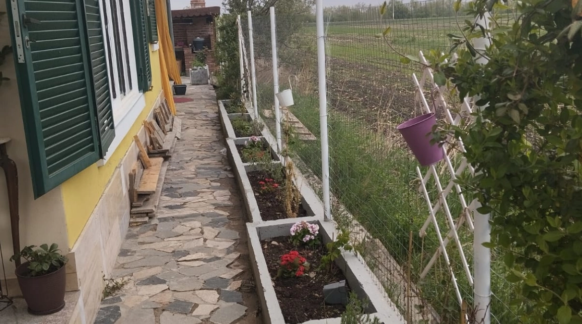 Oferta De vanzare casa, 8 camere, 260 mp, Roznov,   imagine 6
