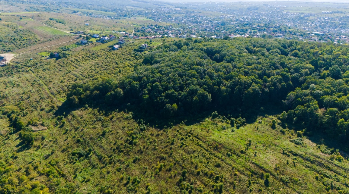 Oferta Teren de vanzare Bucium la 1.5 km in Soseaua Bucium - Plopii fara Sot 113783 mp  imagine 6