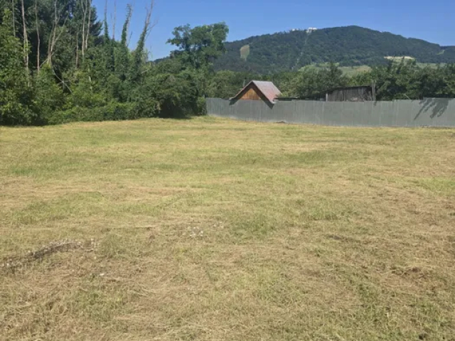 Teren  Sud Valea Alba 1160mp  163044