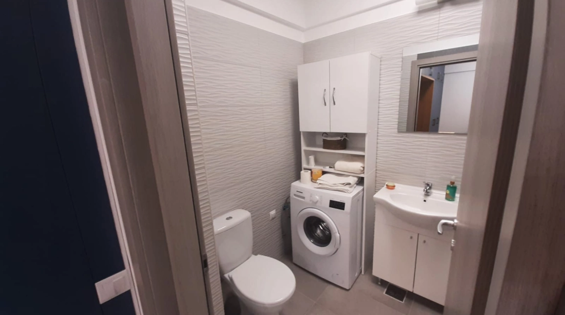 Oferta Apartament de inchiriat, 2 camere, open-space, 45 mp, Nicolina,  Selgros imagine 8