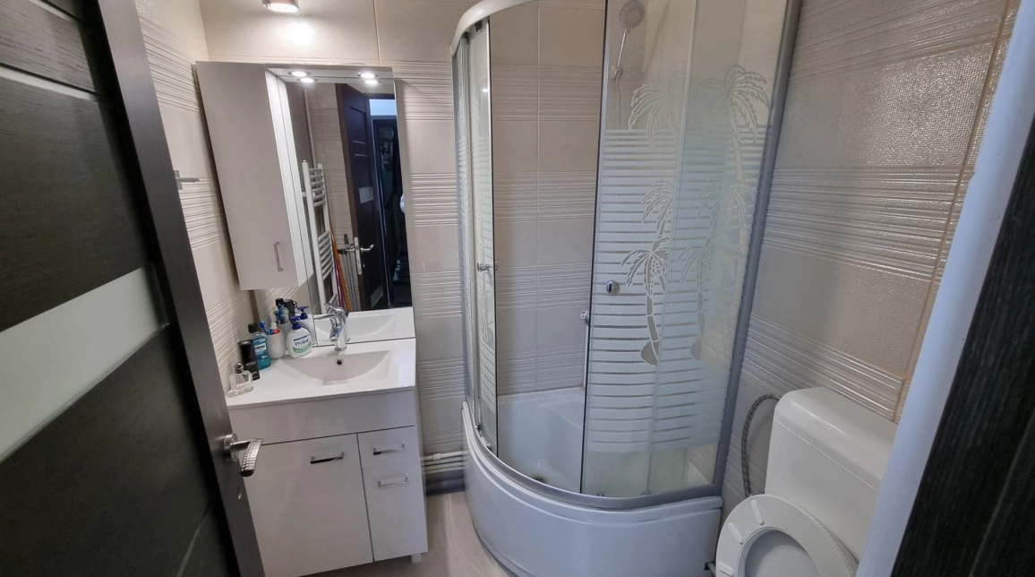 Oferta Apartament de inchiriat, 1 camera, 23 mp, Pacurari,  Moara de Foc imagine 5