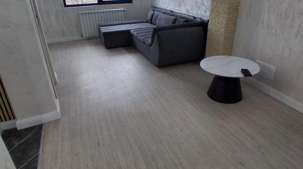 Oferta De inchiriat casa, 3 camere, 112 mp, Horpaz,  lac  imagine 10