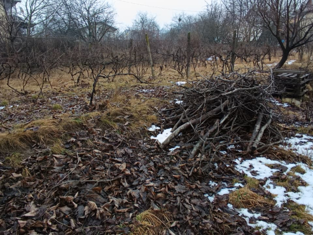 Teren  Bucium dupa Lidl 1000mp  161582